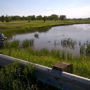 Meet your Posher, Tanner